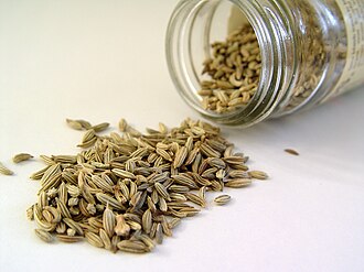 Foeniculum vulgare Seeds